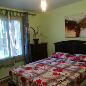 Apartment Authentic Montreal